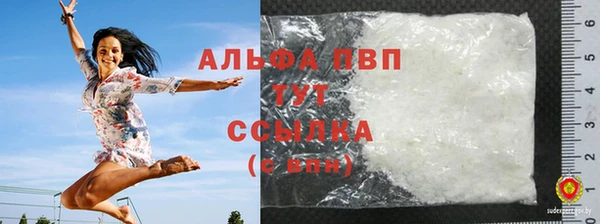 бошки Белокуриха