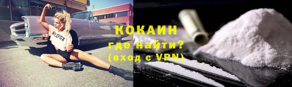 бошки Белокуриха