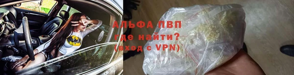бошки Белокуриха