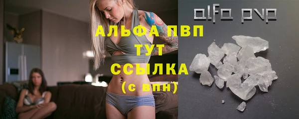 бошки Белокуриха