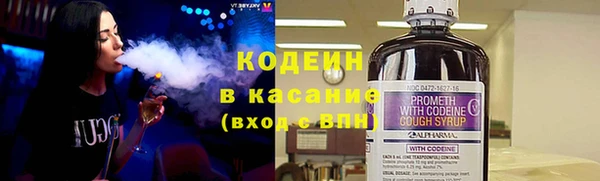 бошки Белокуриха