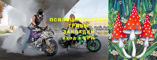 бошки Белокуриха
