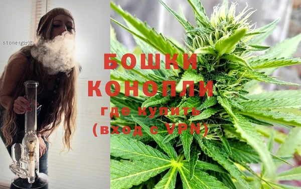 бошки Белокуриха