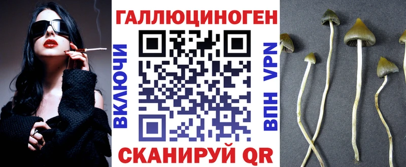 магазин продажи   Шуя  Галлюциногенные грибы Magic Shrooms 